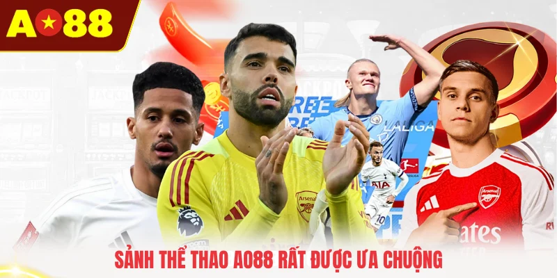 Sảnh thể thao AO88 rất được ưa chuộng
